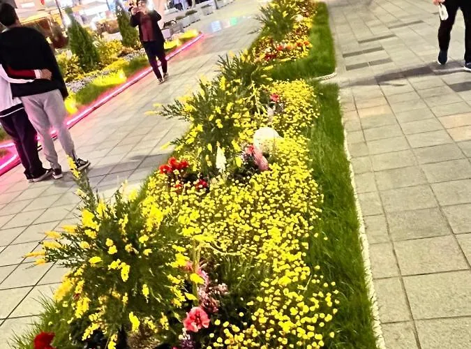 Haeundae Family Arbol Sunny#ocean View Apartahotel 3*